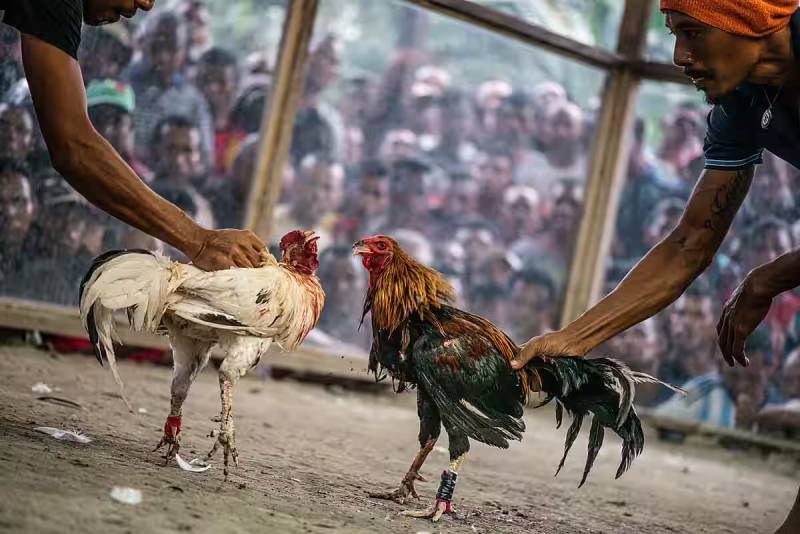 Ảo ảnh chiến thắng và thực tế cay đắng